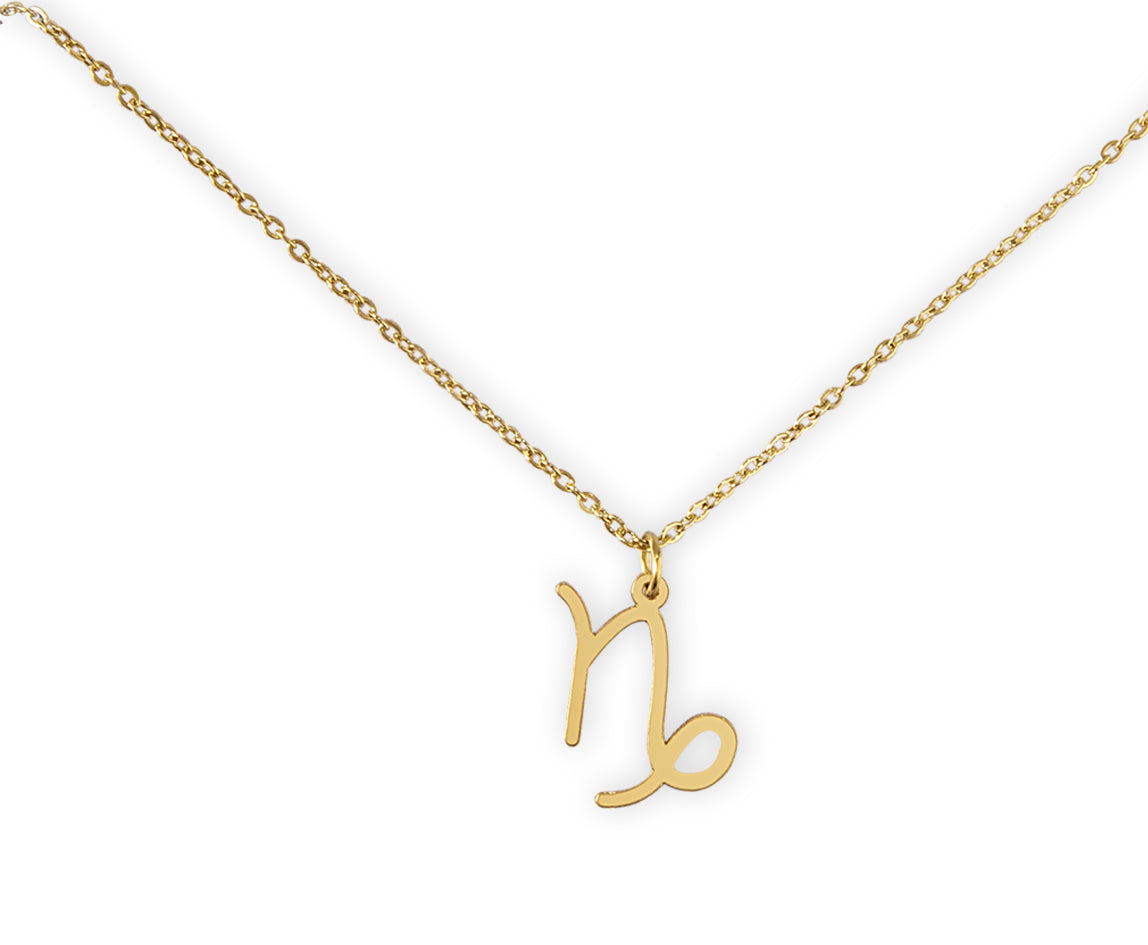 Zodiac Capricorn Necklace